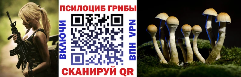 где найти наркотики  Агидель  Галлюциногенные грибы мухоморы 