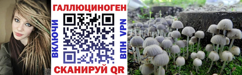 Псилоцибиновые грибы ЛСД Агидель